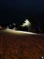 boczna-brzoz