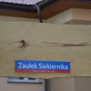 Plener Rzeźbiarski - dzień 3
